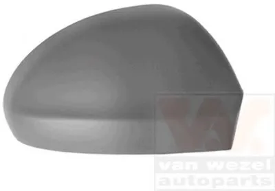 Покрытие, внешнее зеркало VAN WEZEL купить