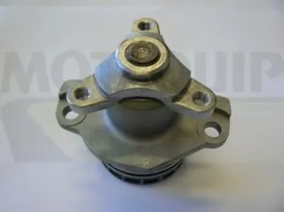 Водяной насос MOTAQUIP купить