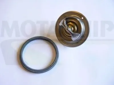 Термостат, охлаждающая жидкость MOTAQUIP купить