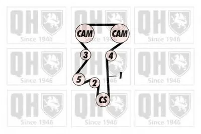 Ремень ГРМ QUINTON HAZELL купить