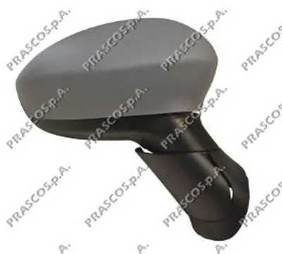 Наружное зеркало PRASCO купить