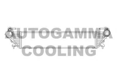 Интеркулер AUTOGAMMA купить