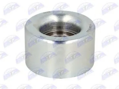 Натяжной ролик, поликлиновой  ремень BTA купить