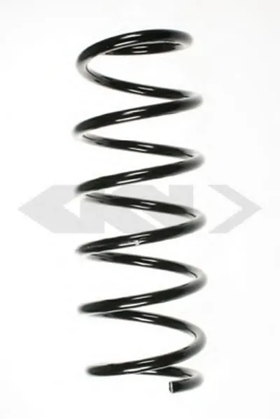 винтовая пружина SPIDAN купить