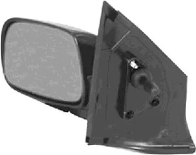 Наружное зеркало VAN WEZEL купить