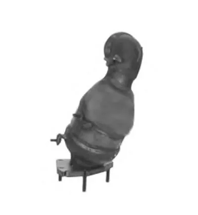 Катализатор для переоборудования IMASAF купить