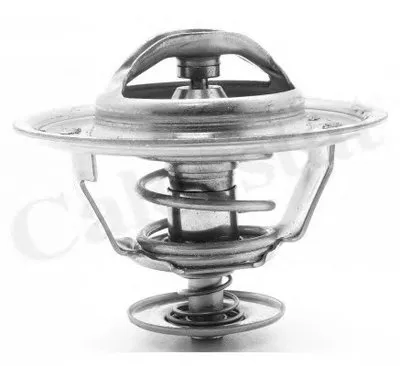 Термостат, охлаждающая жидкость CALORSTAT by Vernet купить