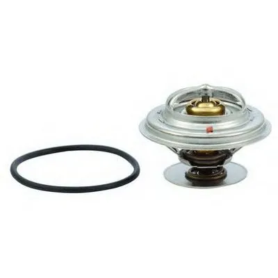 Термостат, охлаждающая жидкость FISPA купить