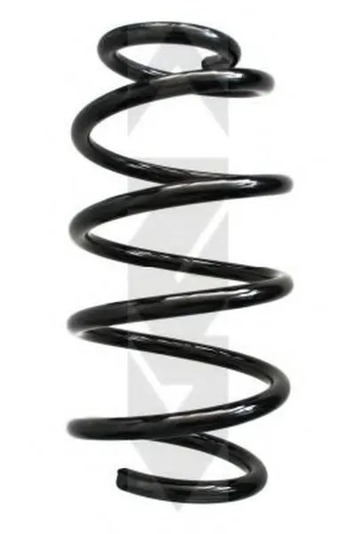 винтовая пружина SPIDAN купить