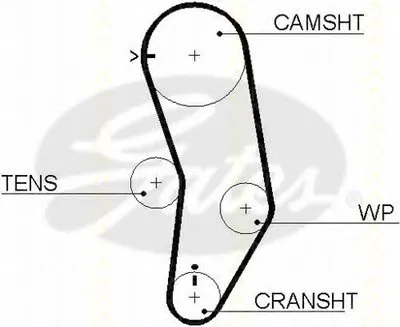 Ремень ГРМ TRISCAN купить