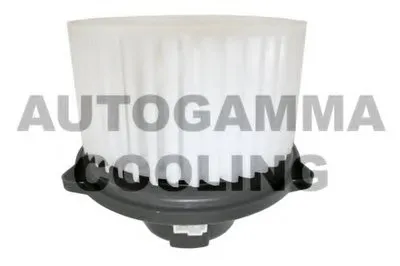 Вентиляция салона AUTOGAMMA купить