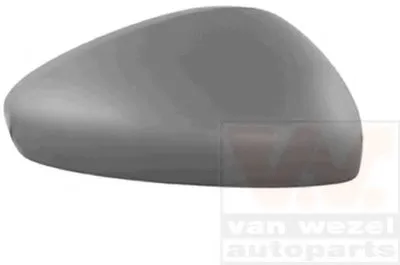 Покрытие, внешнее зеркало VAN WEZEL купить