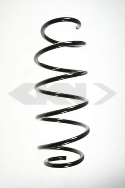 винтовая пружина SPIDAN купить