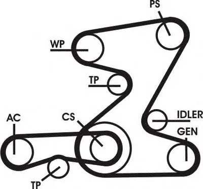 Поликлиновой ременный комплект CONTITECH купить