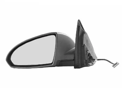 Наружное зеркало VAN WEZEL купить