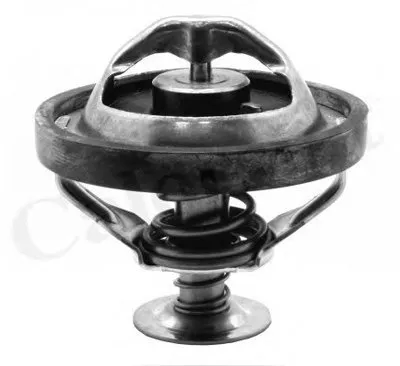 Термостат, охлаждающая жидкость