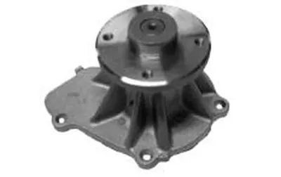 Водяной насос Saleri SIL купить