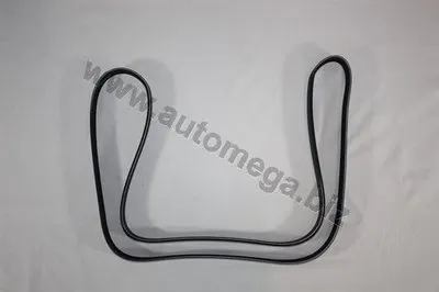 V-Ribbed Belts Automega Premium Alternativ AUTOMEGA купить
