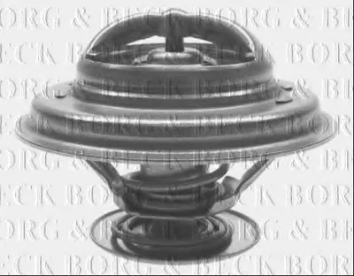 Термостат, охлаждающая жидкость BORG & BECK купить