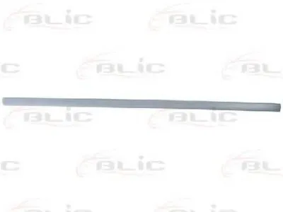 Облицовка / защитная накладка, дверь BLIC купить