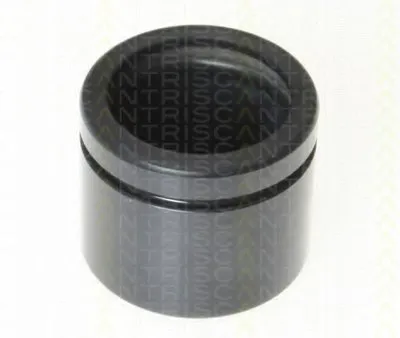 Поршень, корпус скобы тормоза TRISCAN купить