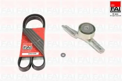 V-Ribbed Belts FAI AutoParts купить