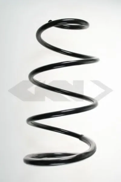 винтовая пружина SPIDAN купить