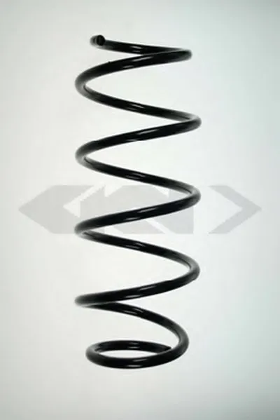 винтовая пружина SPIDAN купить