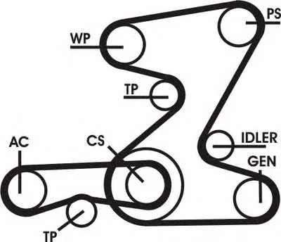 Поликлиновой ременный комплект CONTITECH купить