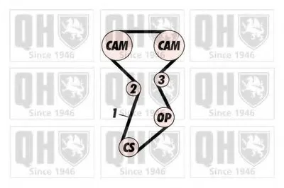 Ремень ГРМ QUINTON HAZELL купить