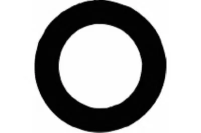 Прокладка, крышка головки цилиндра PAYEN купить