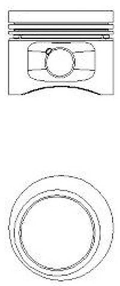 Поршень NÜRAL купить