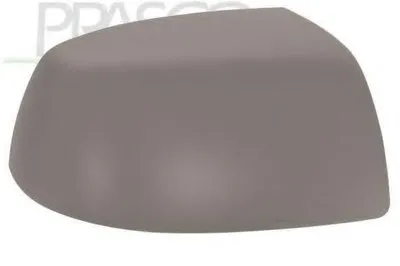 Покрытие, внешнее зеркало PRASCO купить