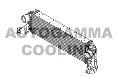 Интеркулер AUTOGAMMA купить