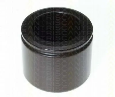 Поршень, корпус скобы тормоза TRISCAN купить