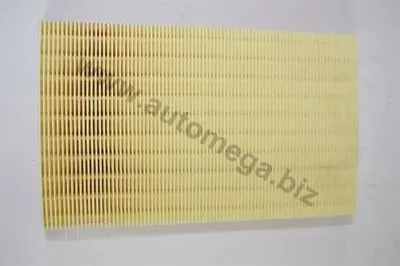 Воздушный фильтр AutoMega Premium AUTOMEGA купить