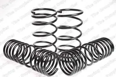 Комплект ходовой части, пружины ROC купить