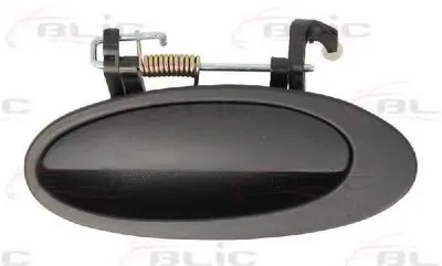 Ручка двери BLIC купить