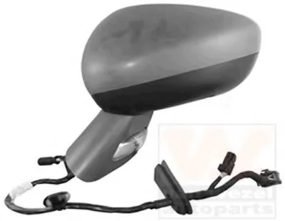 Наружное зеркало VAN WEZEL купить