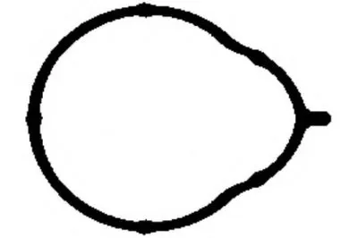 Прокладка, впускной коллектор PAYEN купить