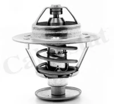 Термостат, охлаждающая жидкость CALORSTAT by Vernet купить