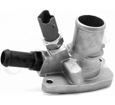 Термостат, охлаждающая жидкость CALORSTAT by Vernet купить