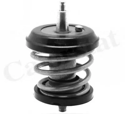 Термостат, охлаждающая жидкость CALORSTAT by Vernet купить