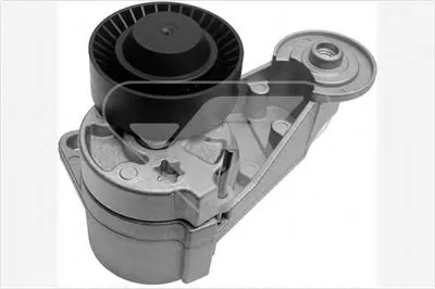 Натяжной ролик, поликлиновой  ремень HUTCHINSON купить