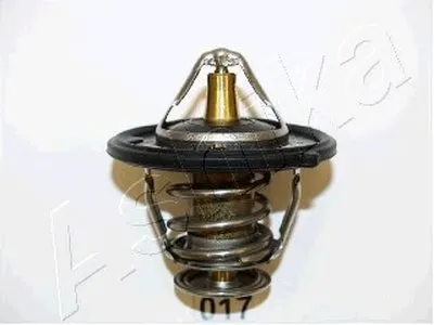 Термостат, охлаждающая жидкость ASHIKA купить