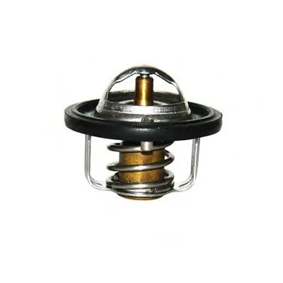 Термостат, охлаждающая жидкость MASTER-SPORT купить