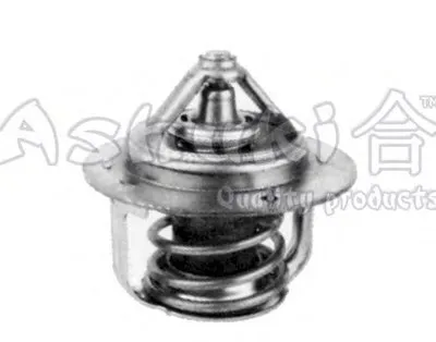 Термостат, охлаждающая жидкость ASHUKI купить