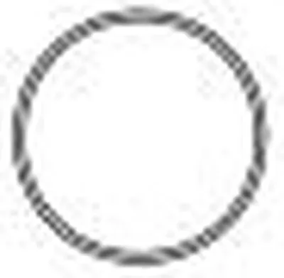 Уплотнительное кольцо, труба выхлопного газа SIGAM купить