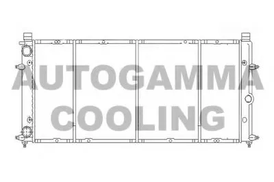 Радиатор, охлаждение двигателя AUTOGAMMA купить