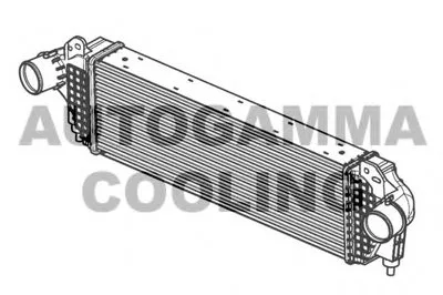 Интеркулер AUTOGAMMA купить